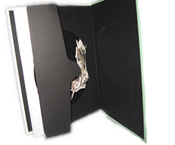 digibook dvd duplicato